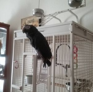 Meet your Posher, Terry